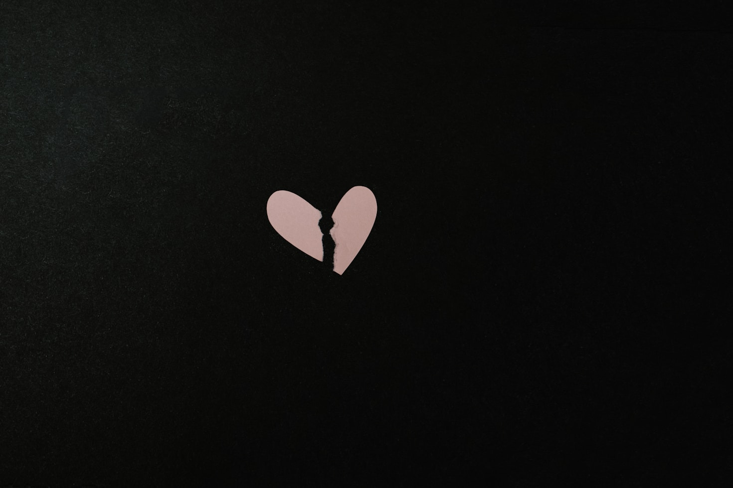 The Science Behind Falling in Love