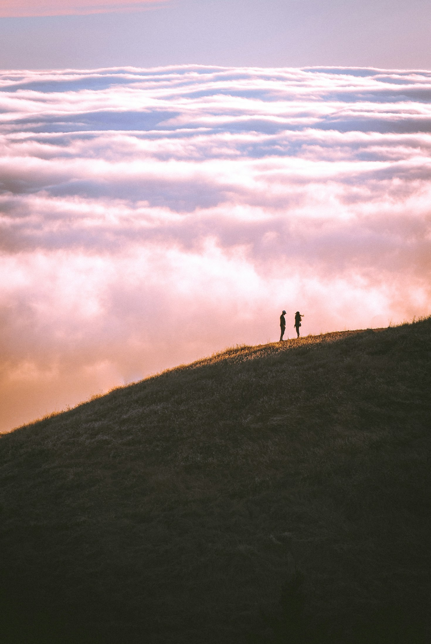 Understanding the Language of Love